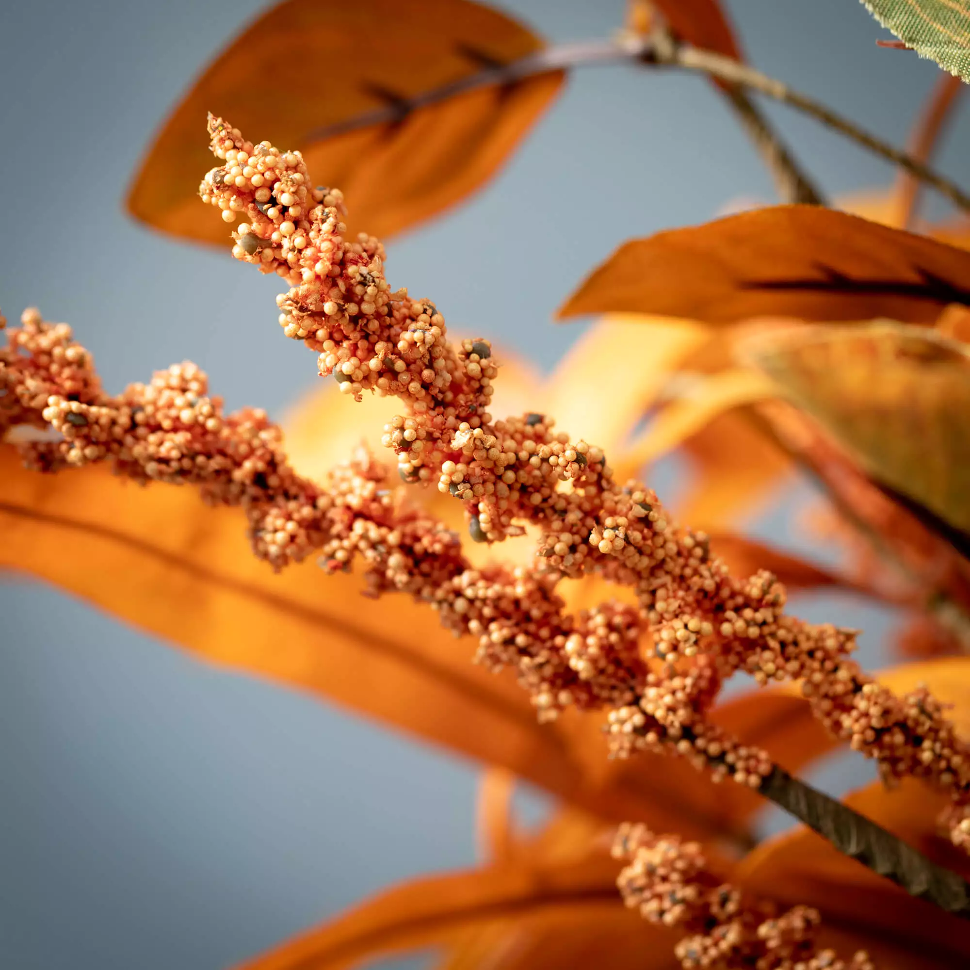 Fall Leaf & Seed Taper Ring