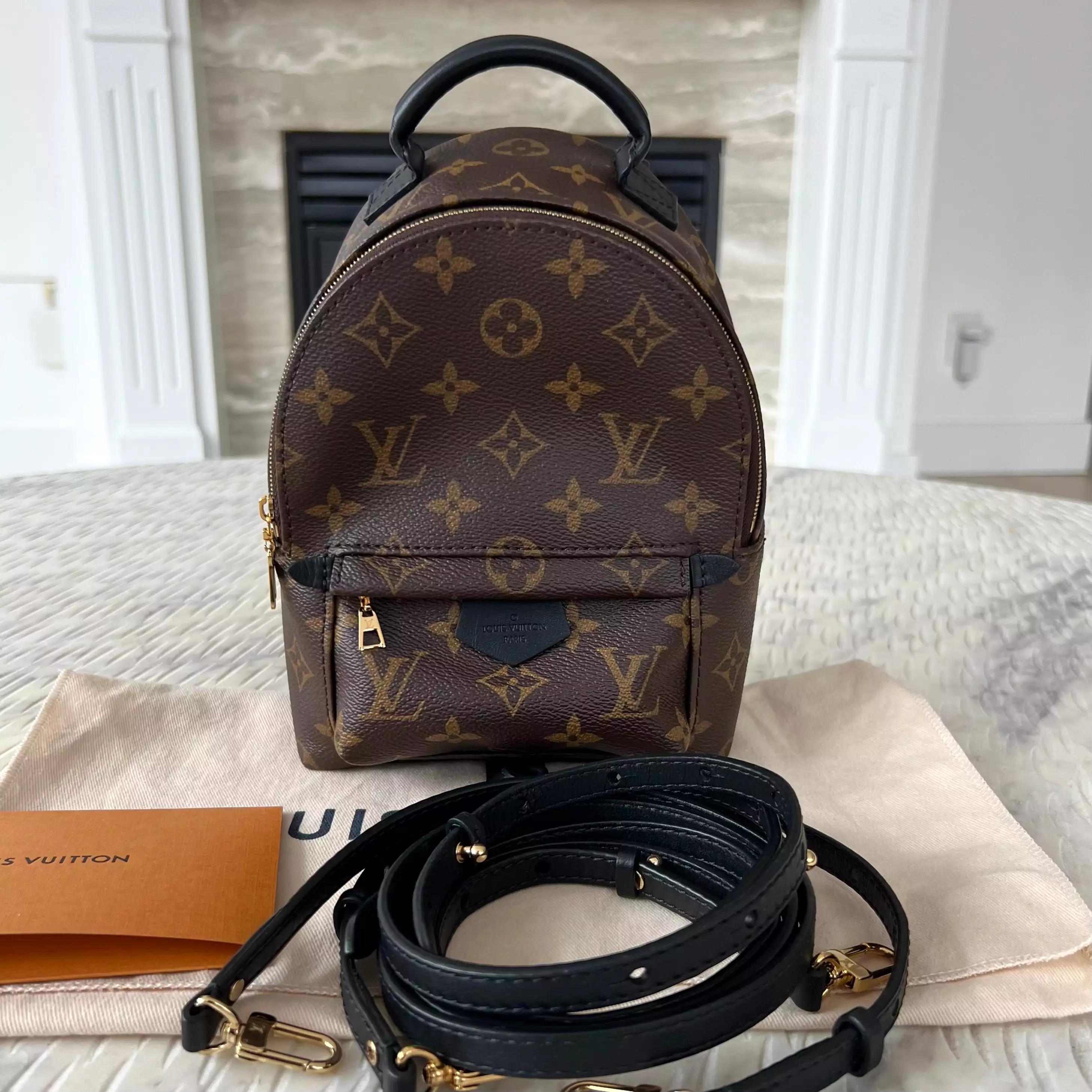 Louis Vuitton Palm Springs Mini Backpack