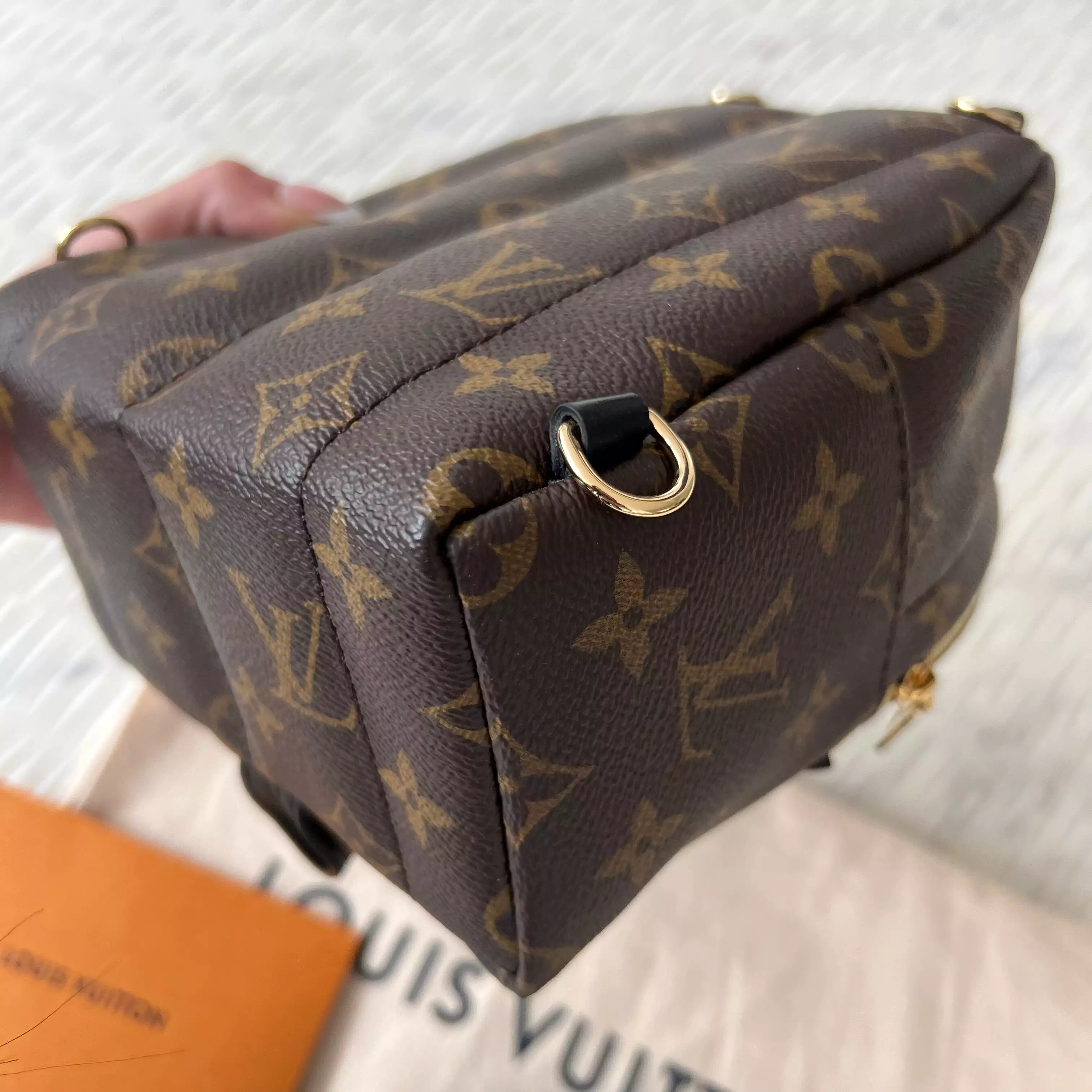 Louis Vuitton Palm Springs Mini Backpack