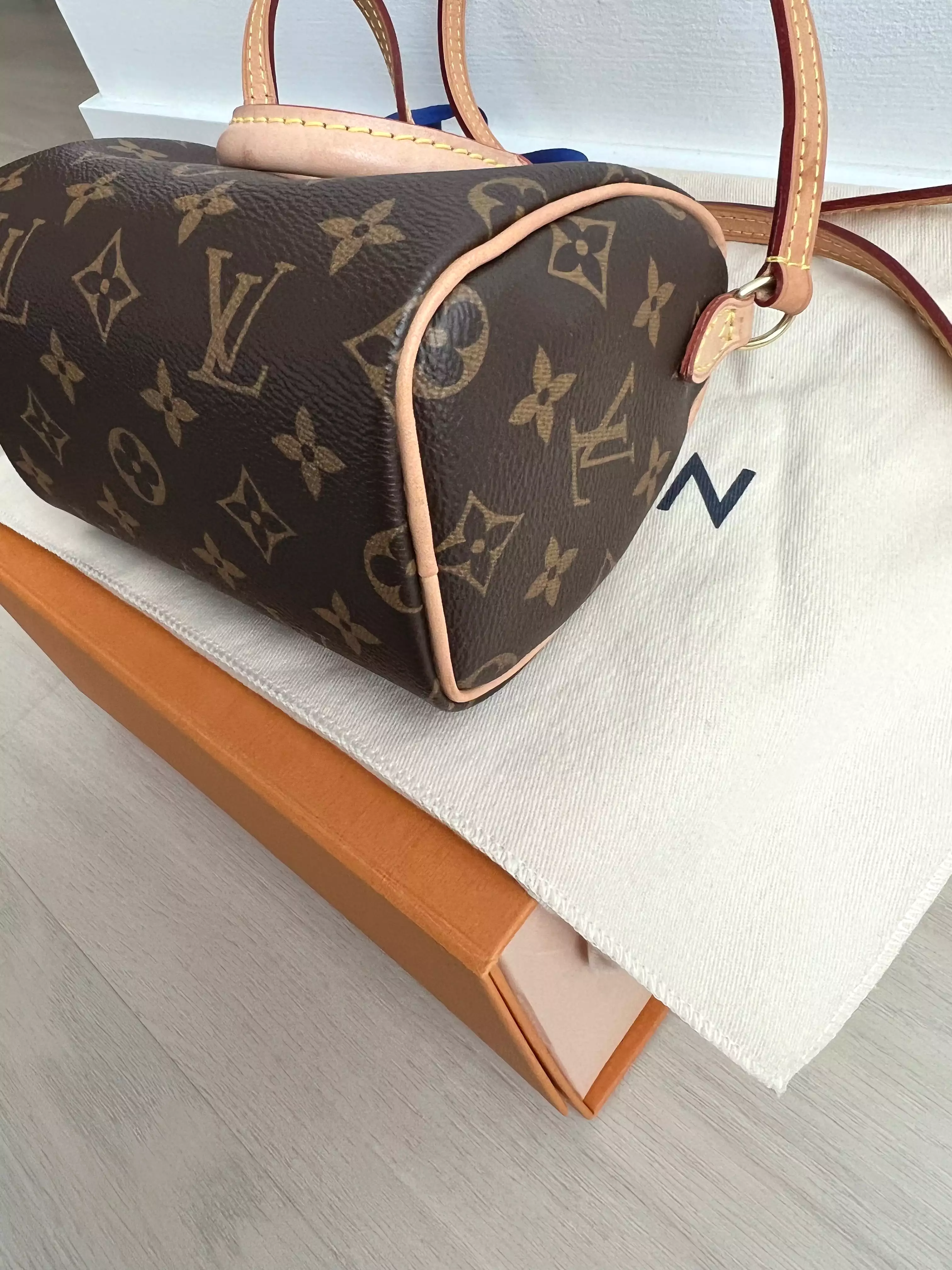 Louis Vuitton Speedy Nano Bag