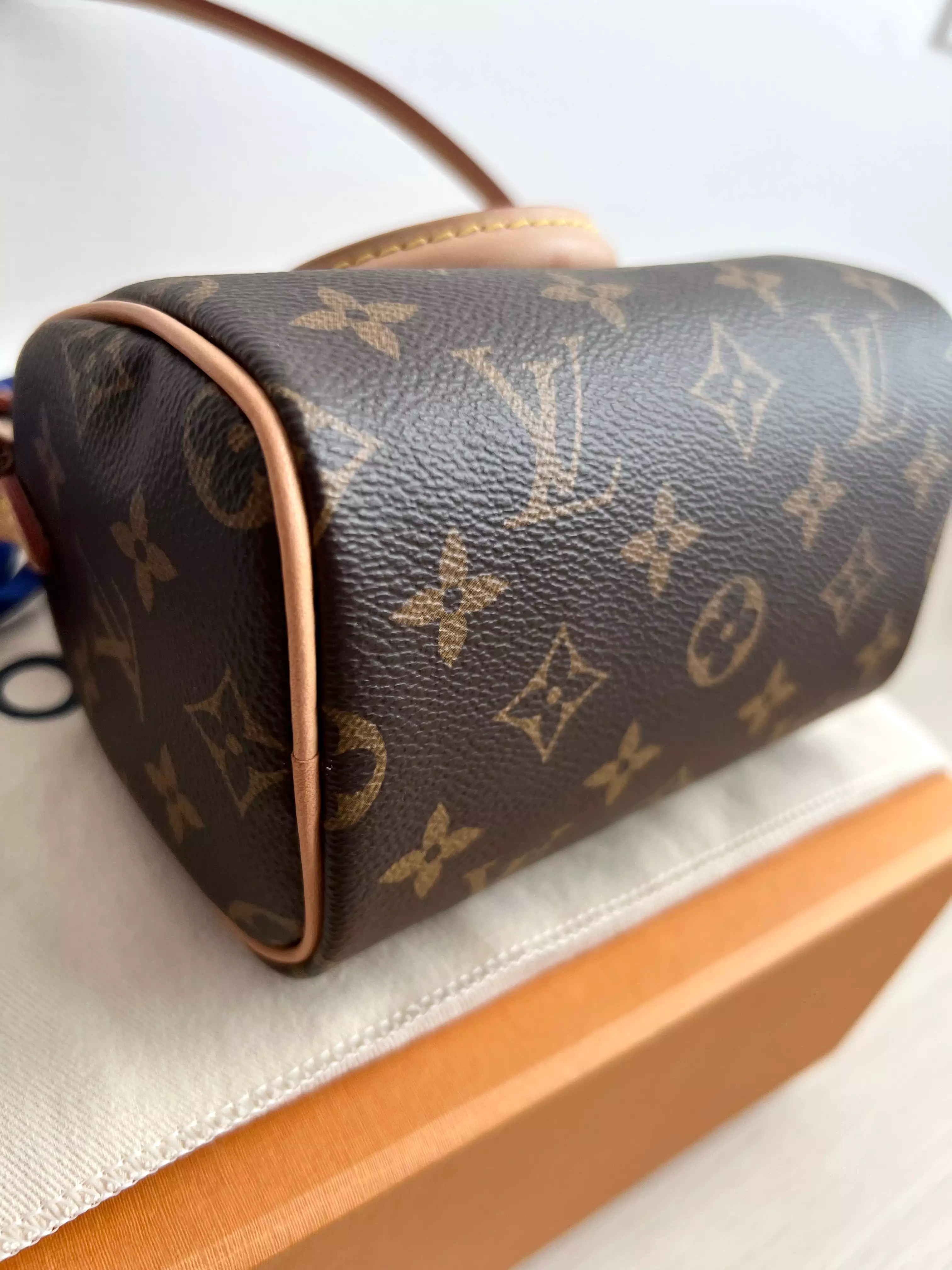 Louis Vuitton Speedy Nano Bag