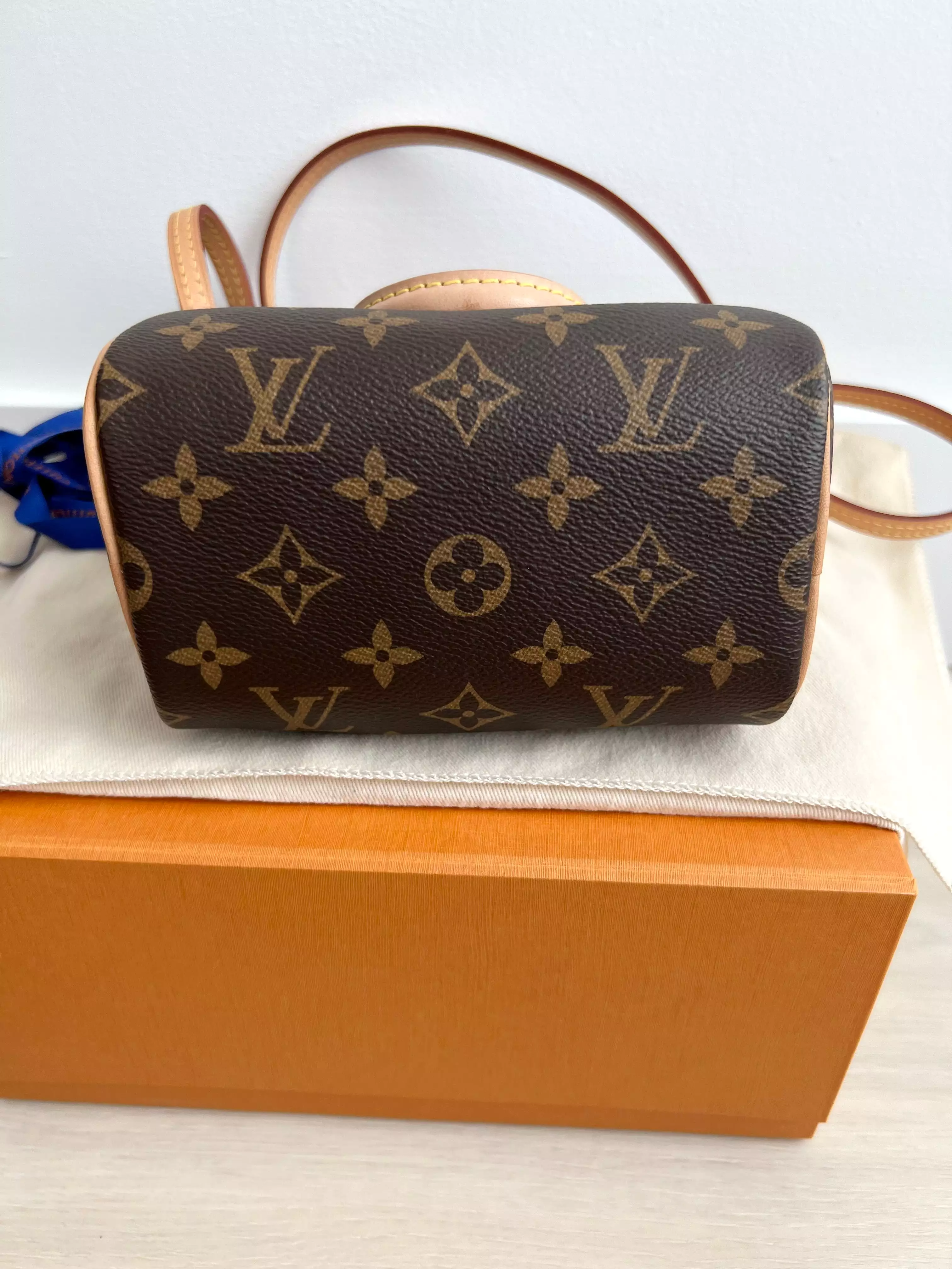 Louis Vuitton Speedy Nano Bag